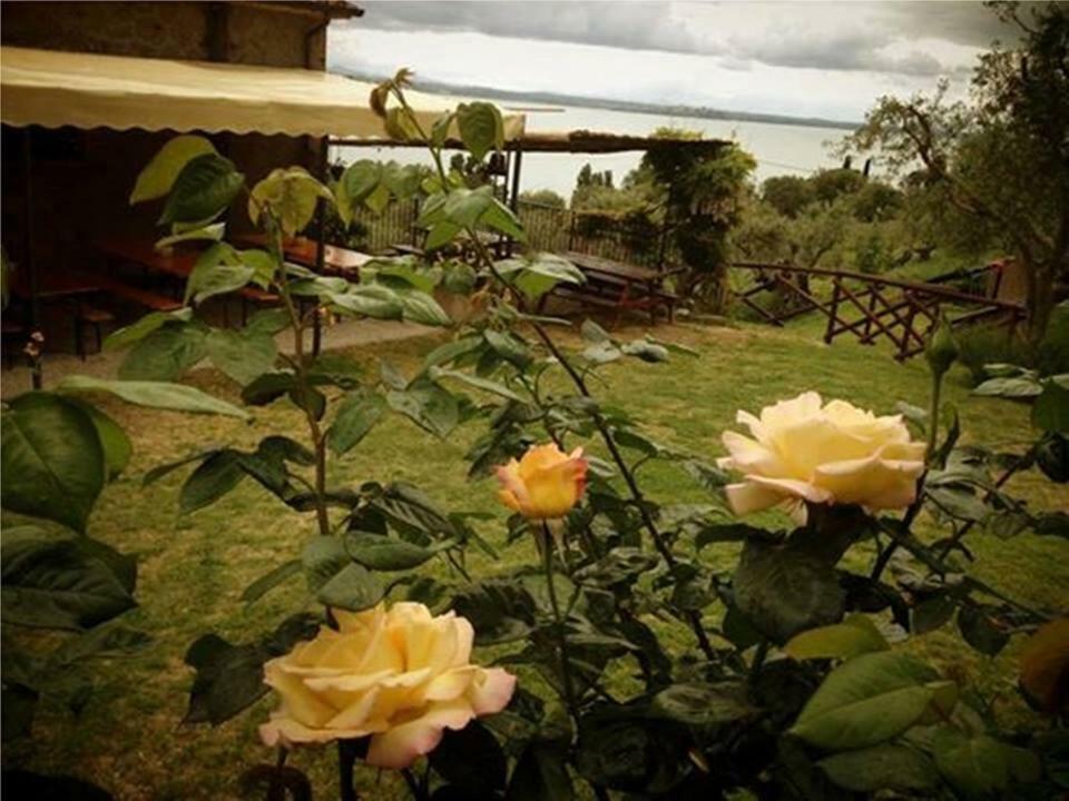 Fattoria Il Poggio Villa San Feliciano Kültér fotó